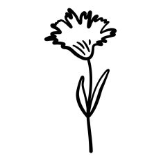 Wildflower