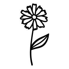 Wildflower