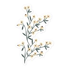 Wildflowers
