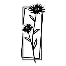 Wildflowers