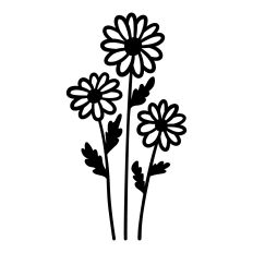 Wildflowers