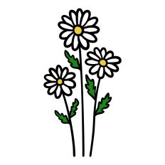 Wildflowers