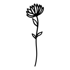 Wildflower