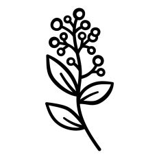 Wildflower
