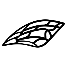 Butterfly Wing Top