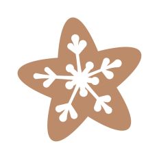 Gingerbread star cookie