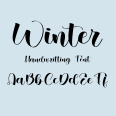 Winter Font