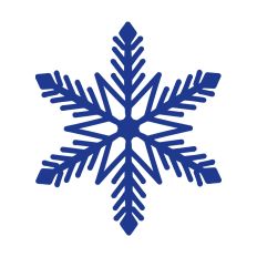 Winter Snowflakes