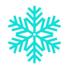 Winter Snowflakes