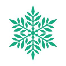 Winter Snowflakes