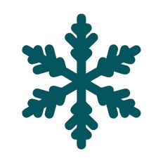 Winter Snowflakes