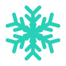 Winter Snowflakes