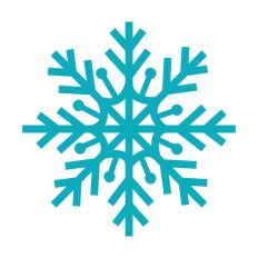 Winter Snowflakes