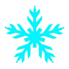 Winter Snowflakes