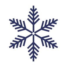 Winter Snowflakes