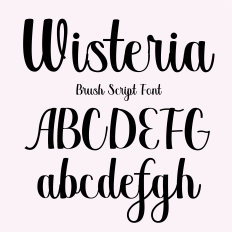 BFC Wisteria Brush Script Cursive Calligraphy Font