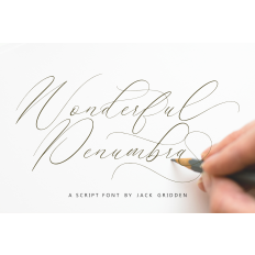 Wonderful Penumbra Font