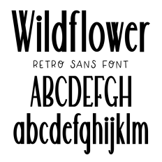 BFC Wildflower Tall Retro Sans Font
