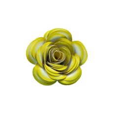 YELLOW SPIRAL FLOWER 81