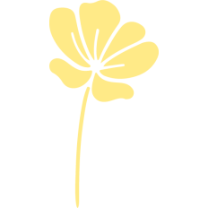 simple yellow spring flower