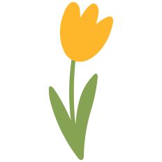 Yellow Tulip