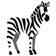 Zebra