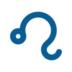 Leo Zodiac Sign