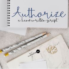 ZP Authroize Expanded