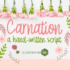 ZP Carnation Light