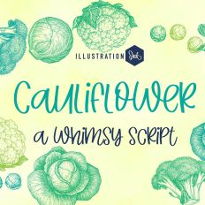 ZP Cauliflower Light