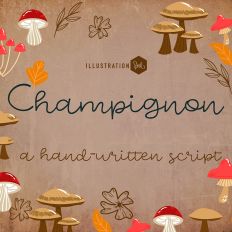 ZP Champignon Light