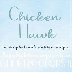 ZP Chicken Hawk Light