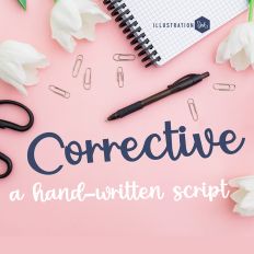 ZP Corrective Bold