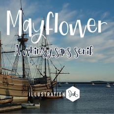 ZP Mayflower Light