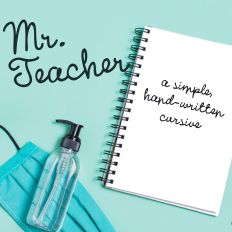 ZP Mr. Teacher