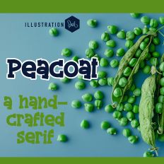 ZP Peacoat Bold