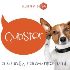 ZP Quidster