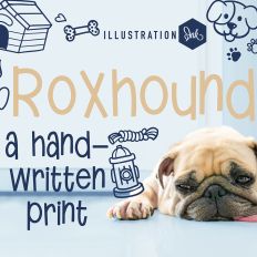 ZP Roxhound Bold