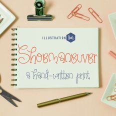 ZP Shoemaneuver Light