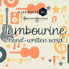 ZP Tambourine Light