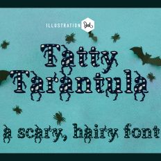 ZP Tatty Tarantula