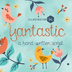 ZP Yantastic Light